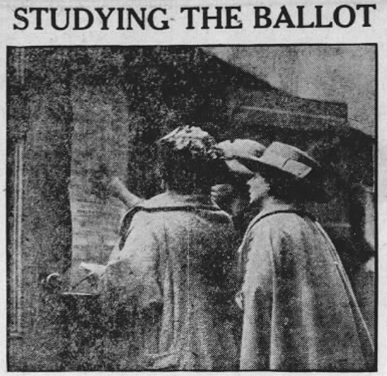 Political participation research